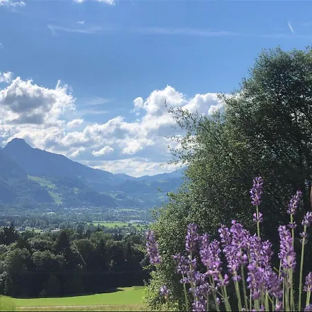 Apartman Buchberg Apartments, *