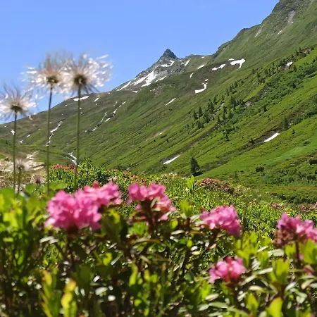Buchberg Apartments, 아파트 에브스