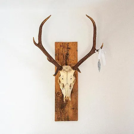 Buchberg Apartments, Lägenhet Ebbs