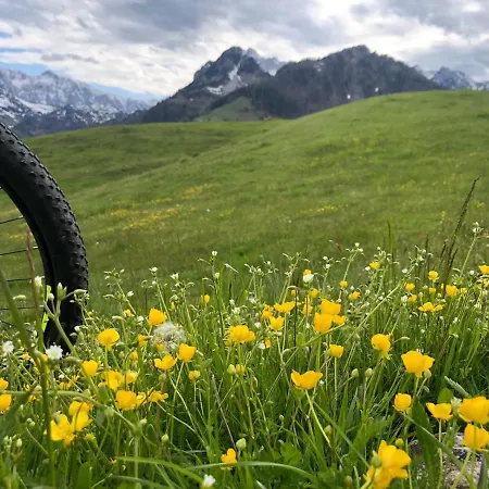 Buchberg Apartments, *