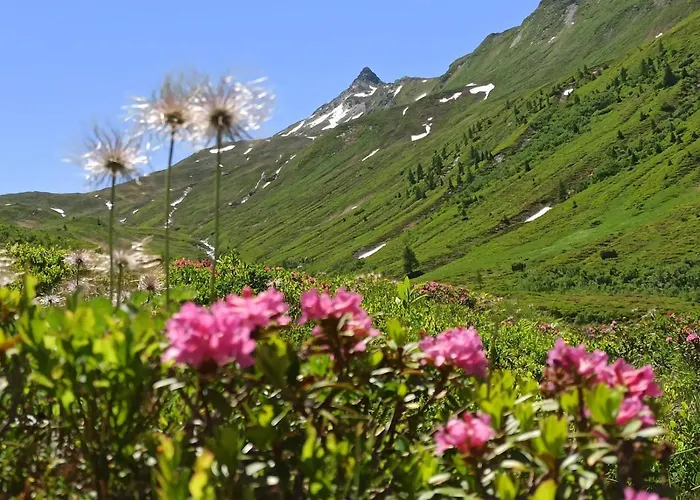 Buchberg Apartments, Appartamento Ebbs