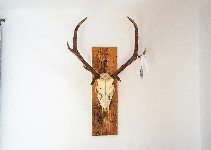 Buchberg Apartments, Appartamento Ebbs