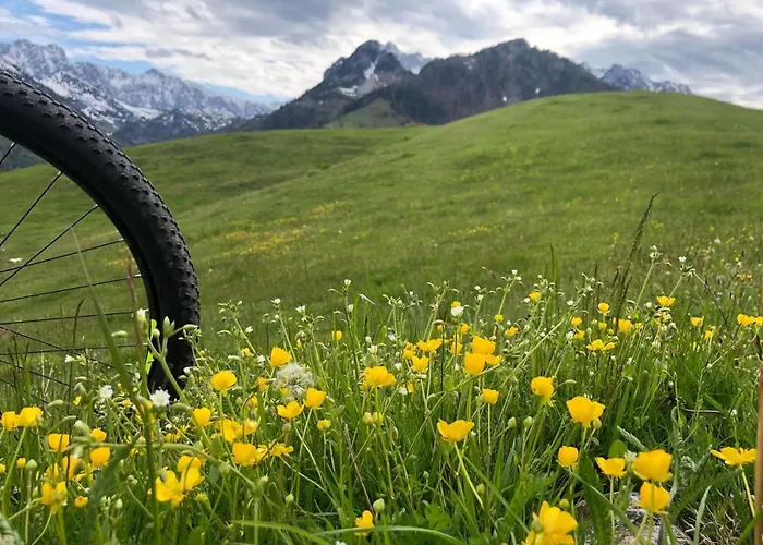 Buchberg Apartments, *